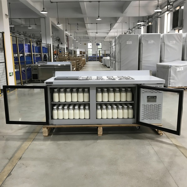 Premium Double Door Commercial Freezer for Your Business Needs