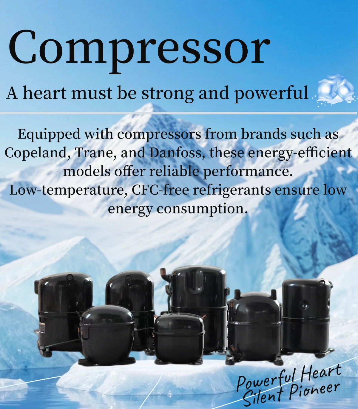 4(e716bcf9bf).jpg