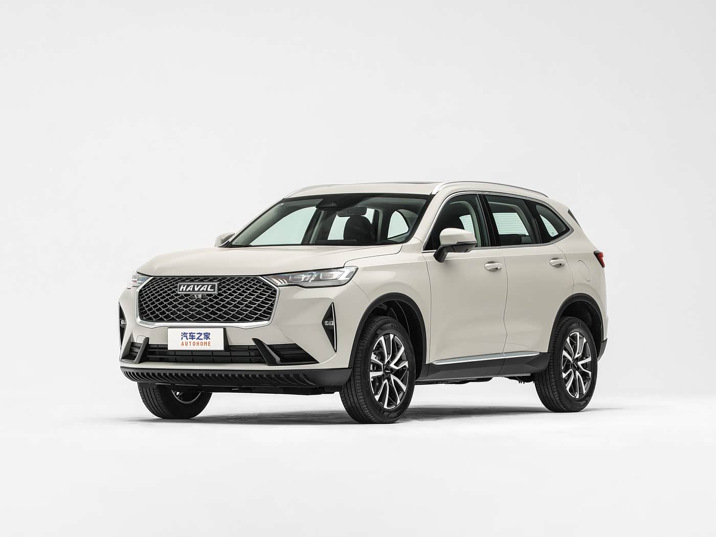 haval-h6-wholesale-suv-algerian-dealers.jpg