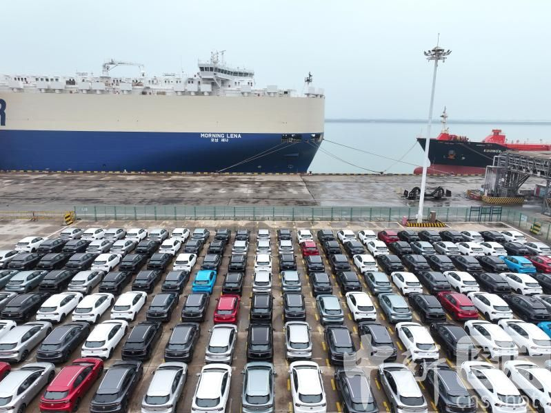 2026 Algeria Car Import Tax Cut: How Trusted Chinese Exporters Help You Grab Higher Margins
