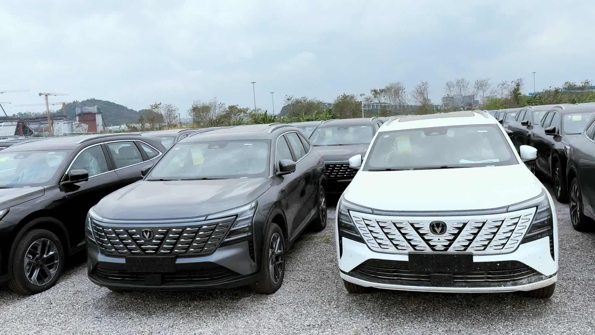 Algerian importer inspects Geely, Changan and Jetour SUV units in exporter’s warehouse before bulk shipment