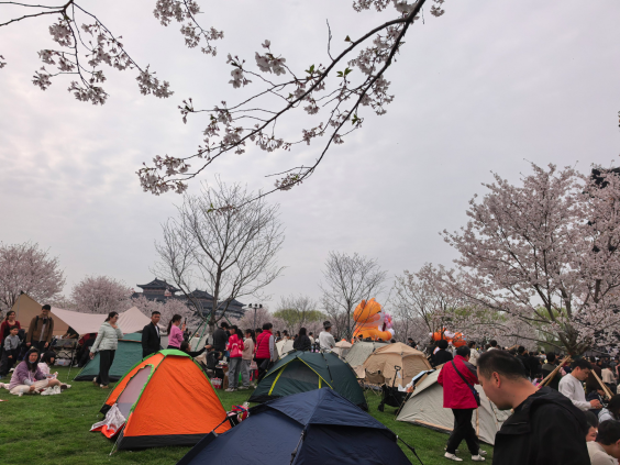 2026 Outdoor Camping Team Building: Empowering Our Team With Human-Centered Corporate Culture