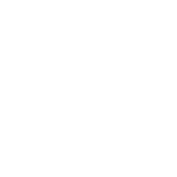 Ins