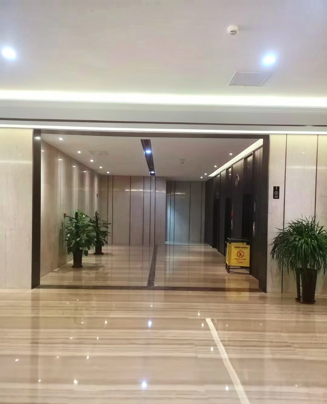 Italy Wood Grain Marble.jpg