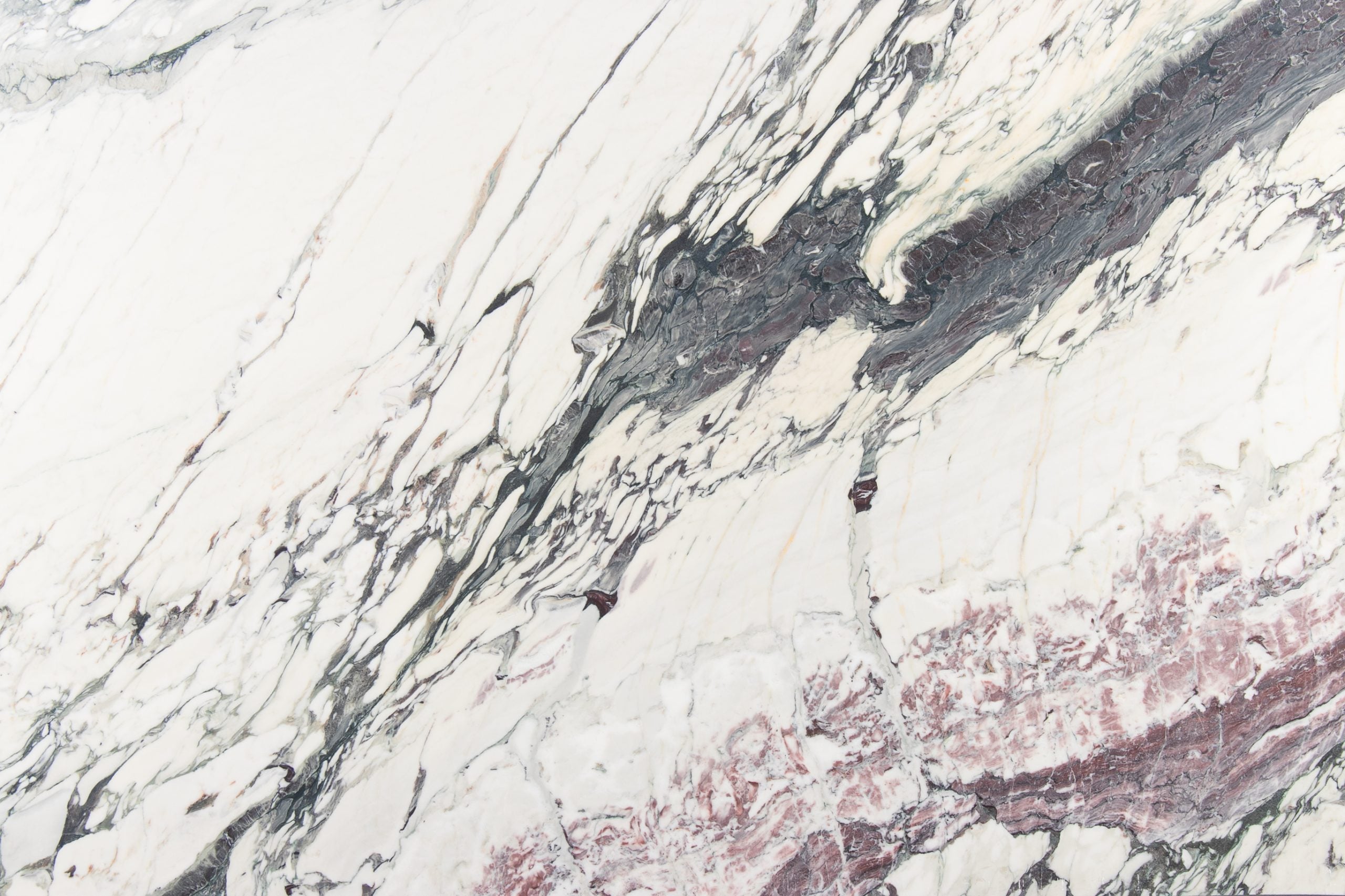 Breccia-Capraia-3-scaled.jpg