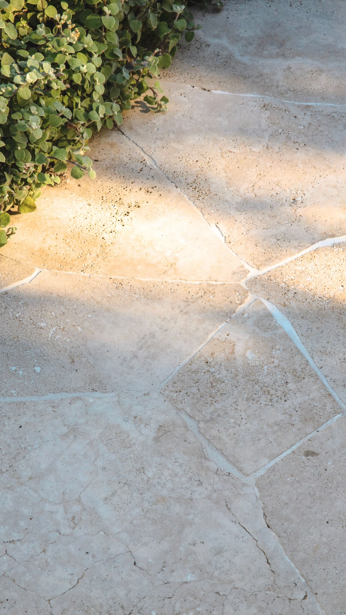 crazy paving (7).jpg