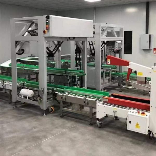 Bagging and Boxing Packaging Line