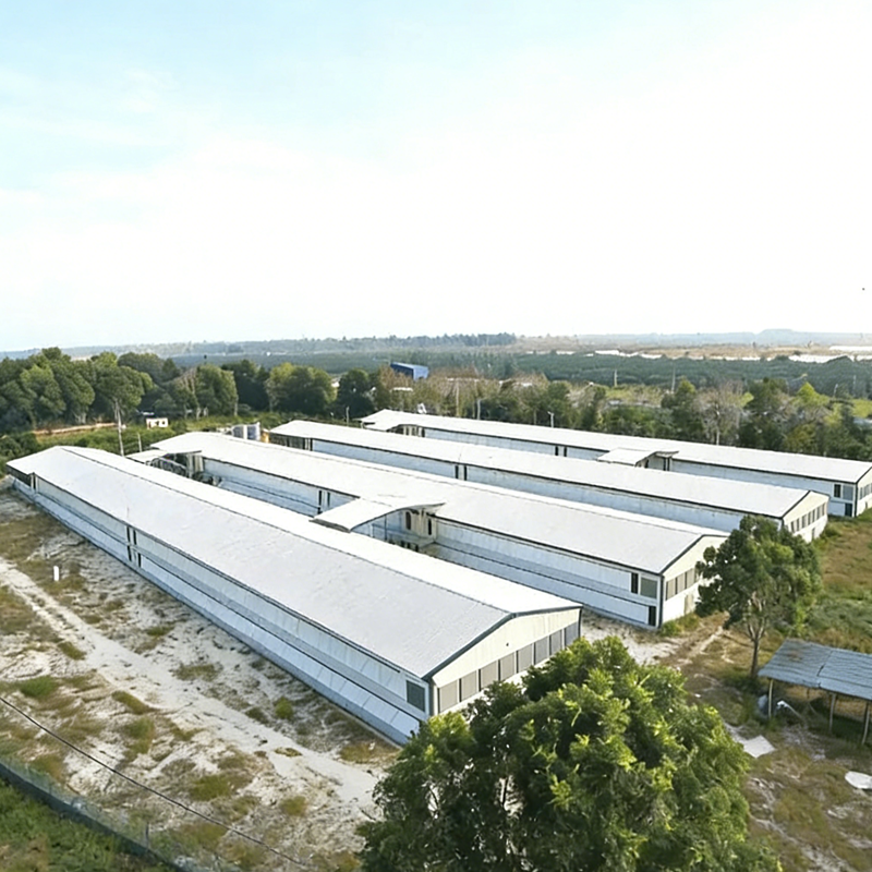 Steel Animal Farming Shed 1.png