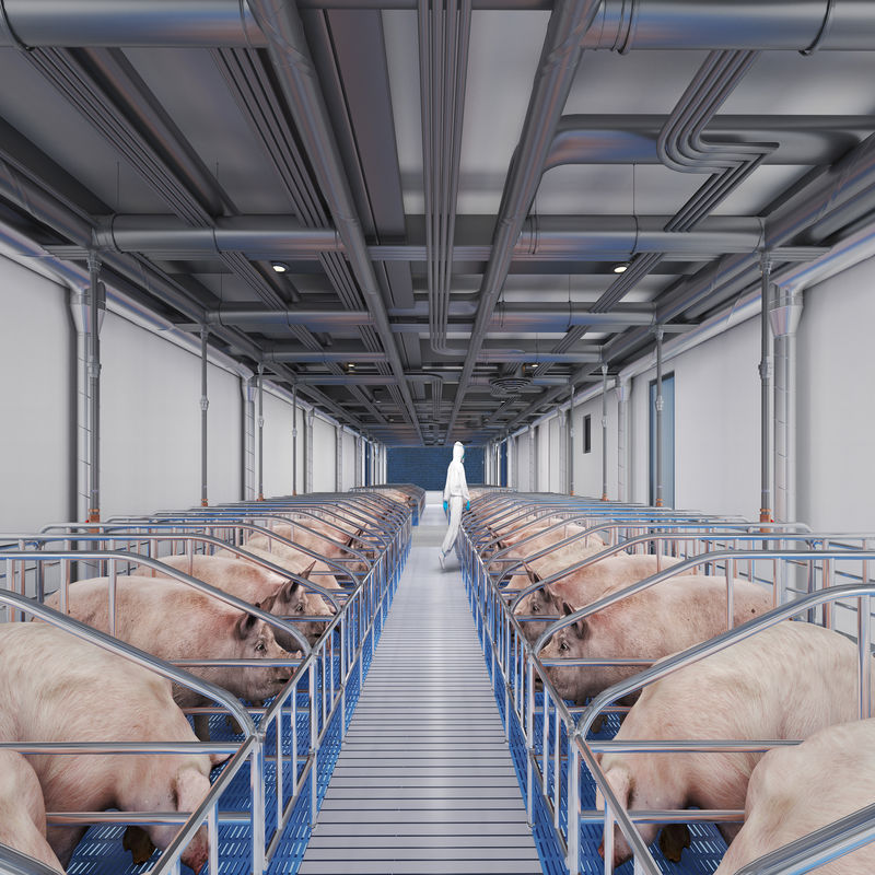 Wie entwirft man einen gut belüfteten Tierstall?