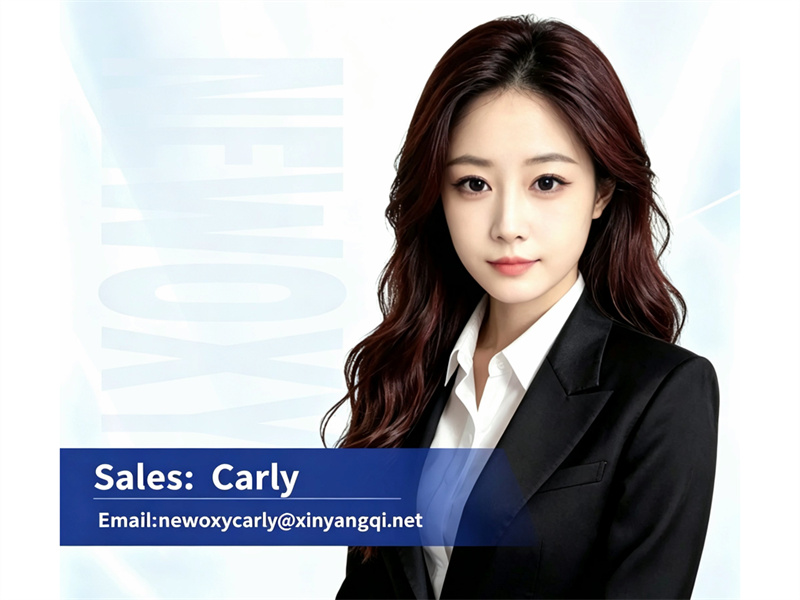 NEWOXY Expands Overseas Team, Introducing Professional Foreign Trade Sales and Operations Talent to Better Serve Global Customers