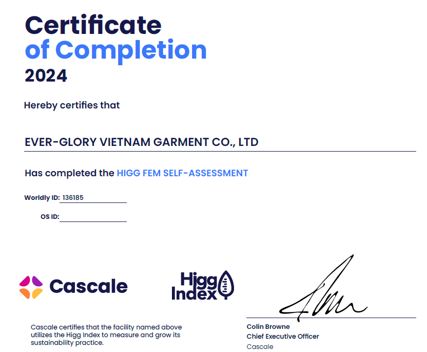 Common Usage Issues in Understanding Higg Index FEMFSLM Compliance Explained