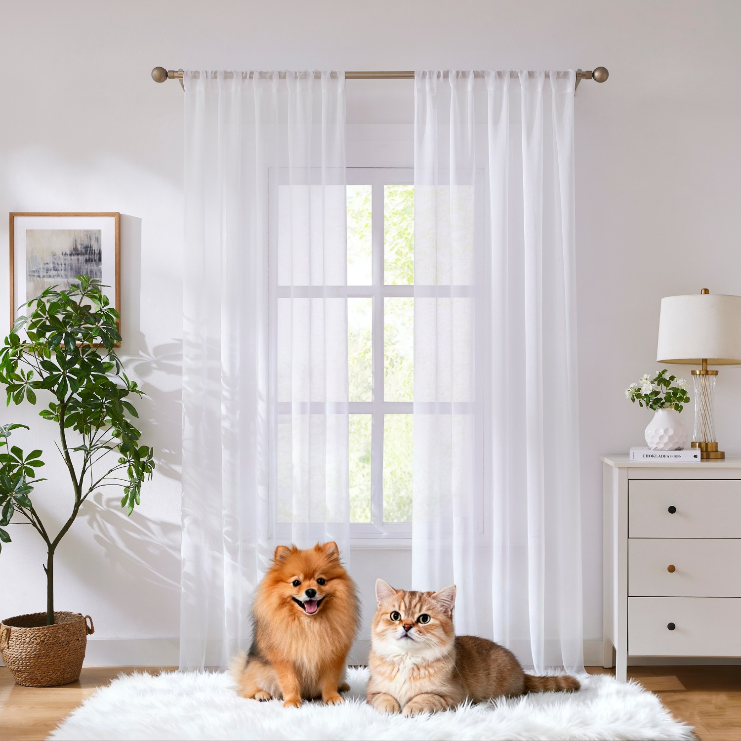 HONI 80GSM 100% Polyester Solid Color Sheer Curtain – Lightweight, Soft Light Filtering, Elegant Drape for Living Room, Bedroom, and Balcony