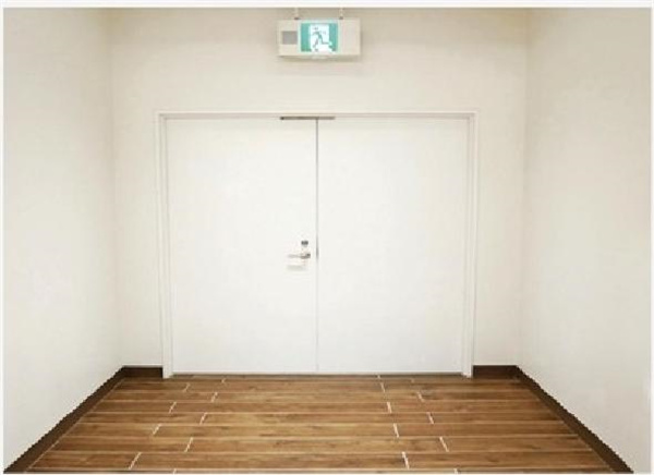 Cleanroom Swing Door