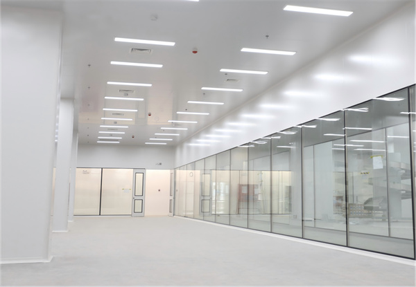 Color Steel Plate Cleanroom Doors Application