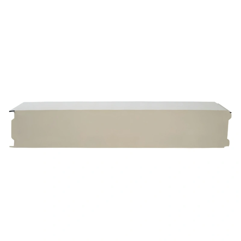 PU/PIR Cold Storage Panel