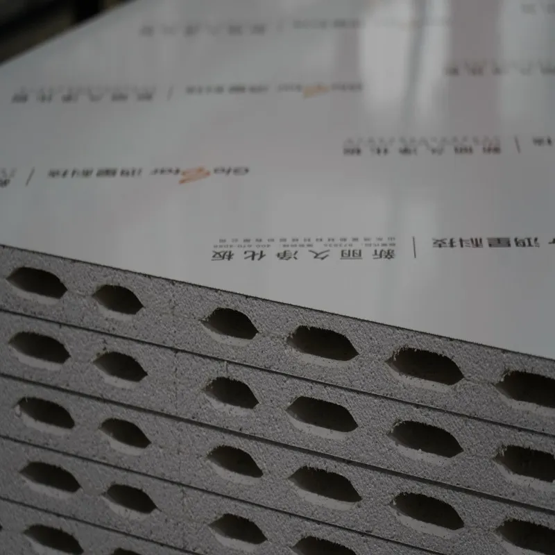 High Quality Hollow Glass-Magnesium Clean Room Panel for Pharmaceutical Workshop