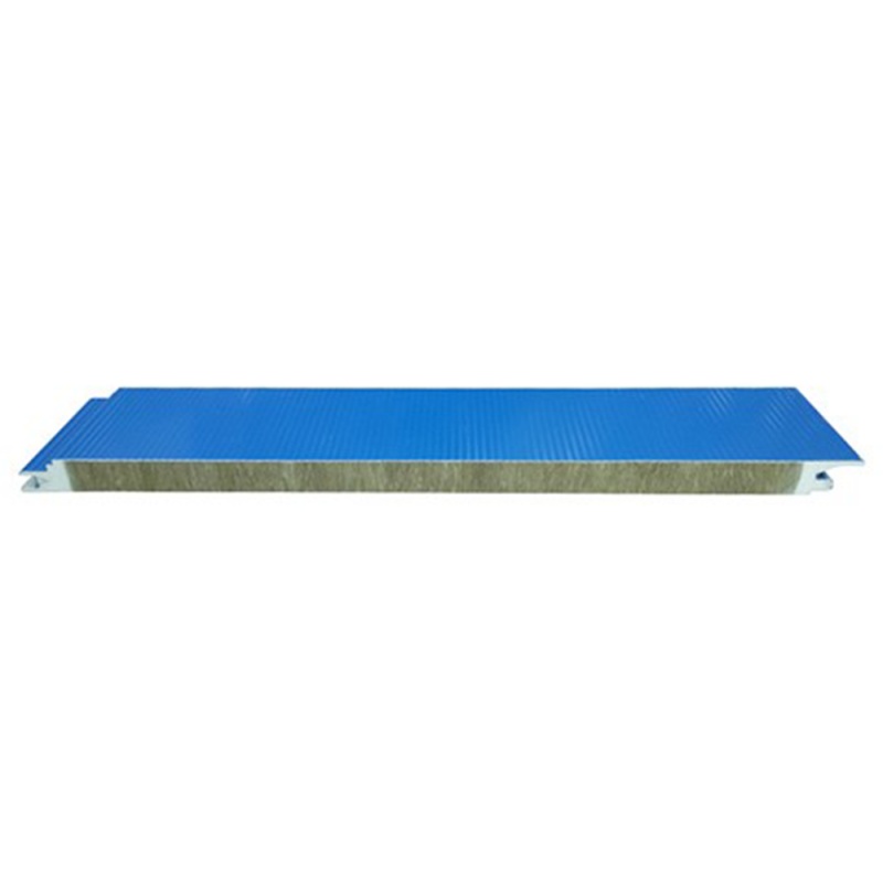 Welche neuesten Innovationen gibt es bei Kaltlager-Sandwichplatten für Großabnehmer?