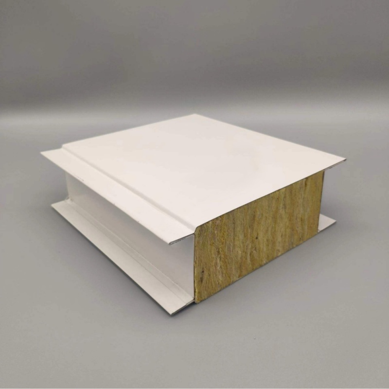 Rock Wool Machanism Clean Room Panel
