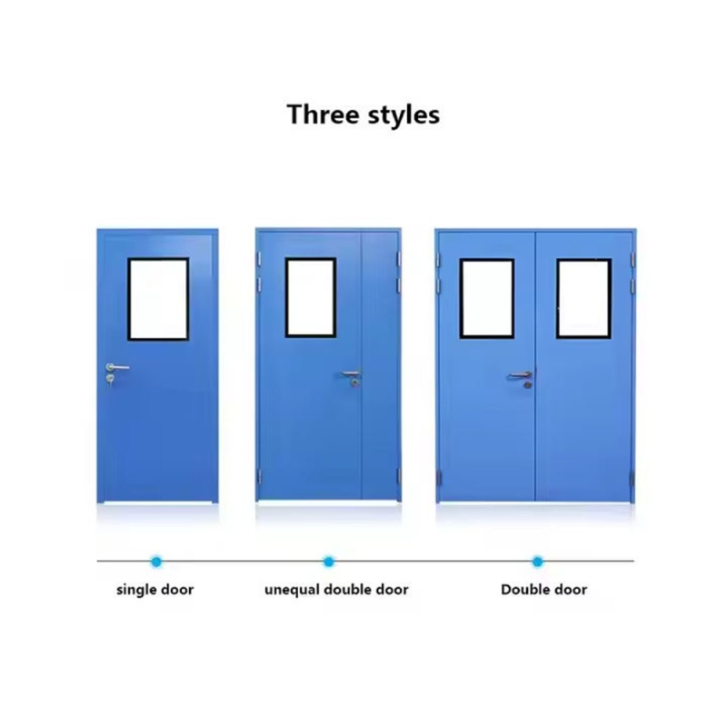 Hidden Frame/Flush Cleanroom Door