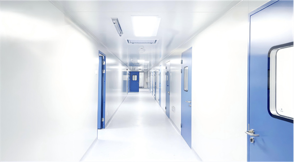 Color Steel Plate Cleanroom Doors Application