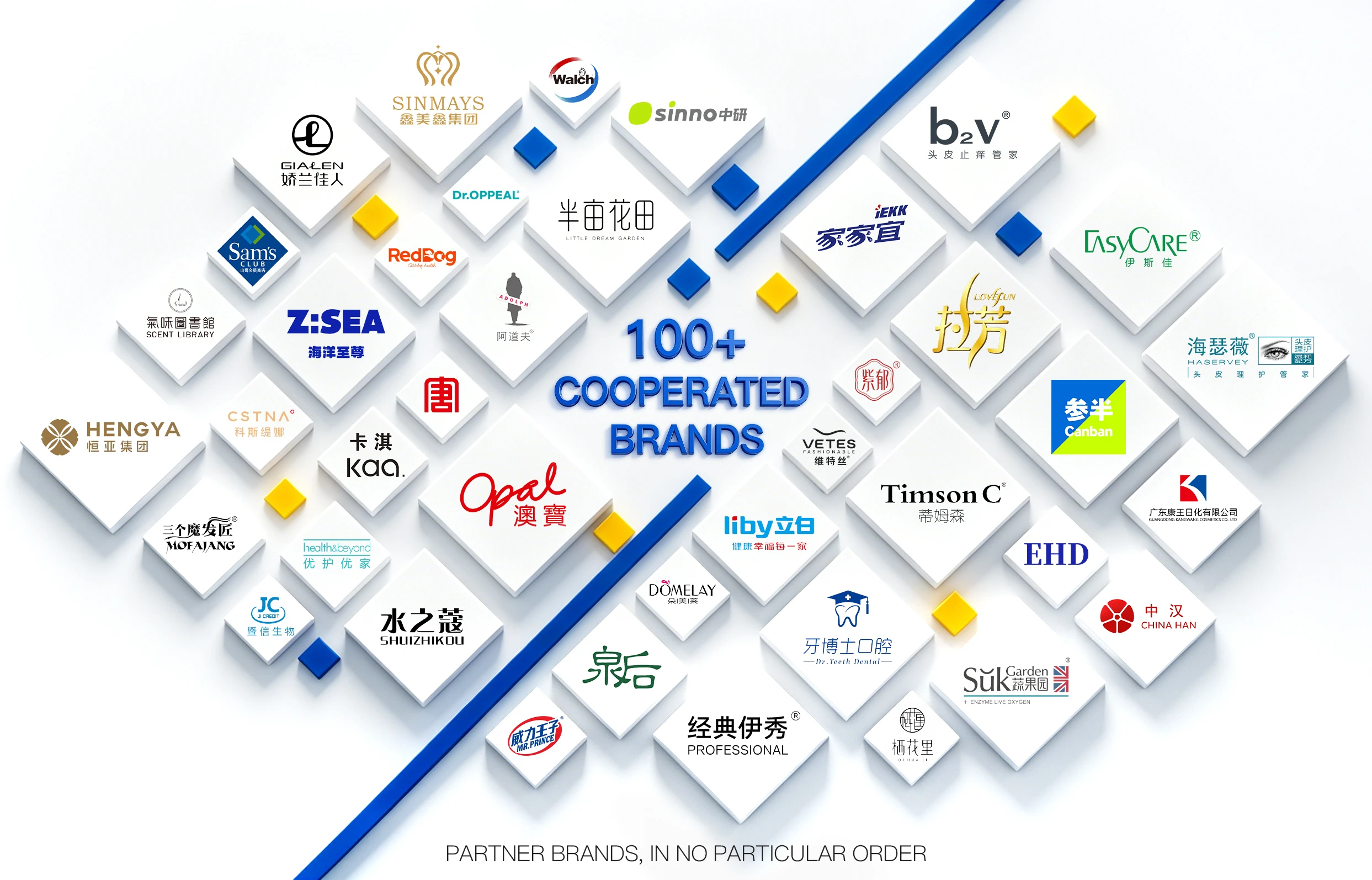 Cooperation Partner