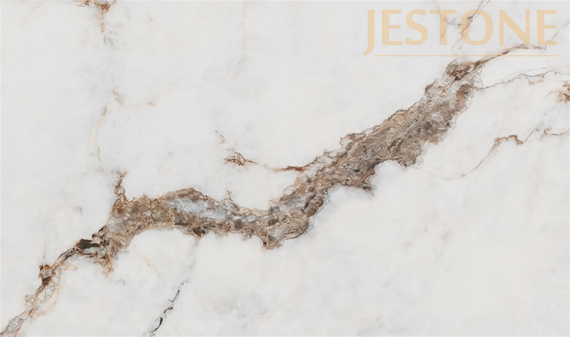detail(43b9368714).jpg