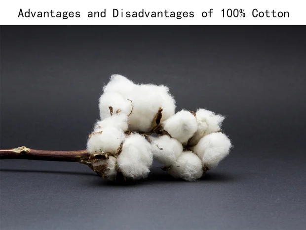 Beyond the Label: The Ultimate Guide to Sourcing True 100% Cotton in a Deceptive Market