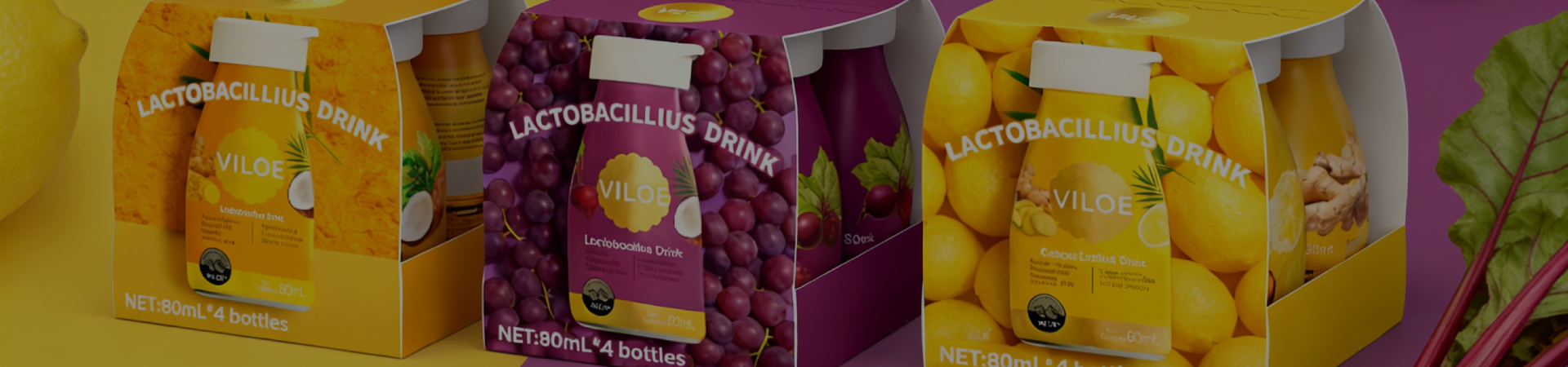 Fruit Juice Manufacturer | Viloe