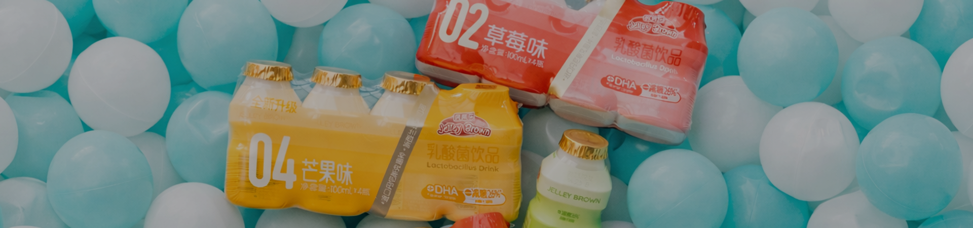 Lactobacillus Drinks | Viloe
