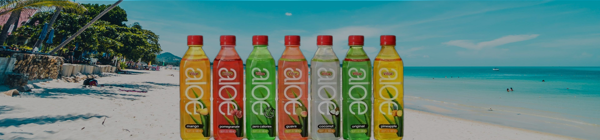 Aloe Vera Drinks | Viloe