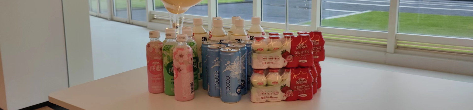 Lactobacillus, Aloe Vera, Fruit Juices | Viloe