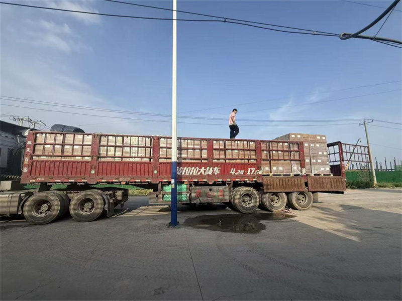 Large Shipment of Jiachi Epoxy Powder Finishes Loading, Ready for Overseas Delivery