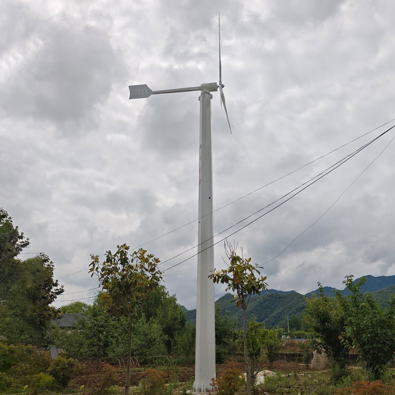 Invest in Clean Energy and Cost Savings