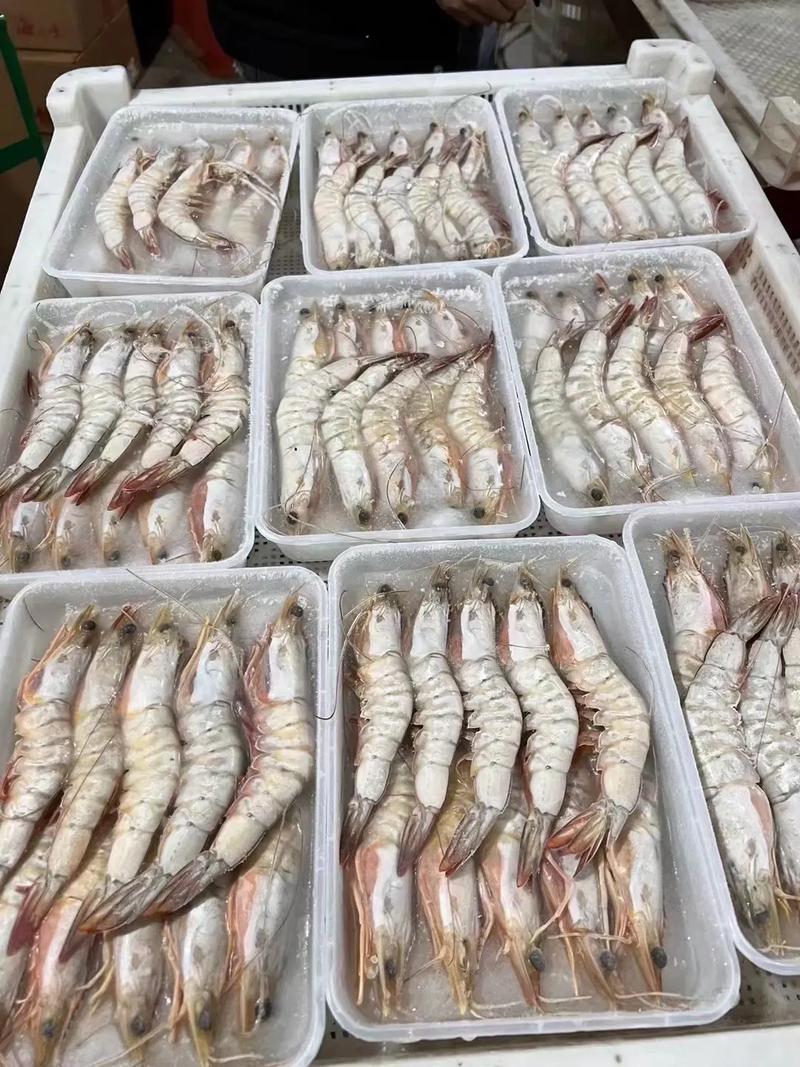 sea food.jpg