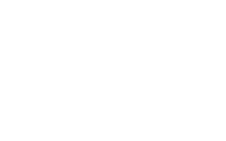 Global Partnerships