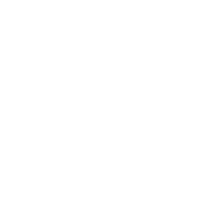 Digital Management