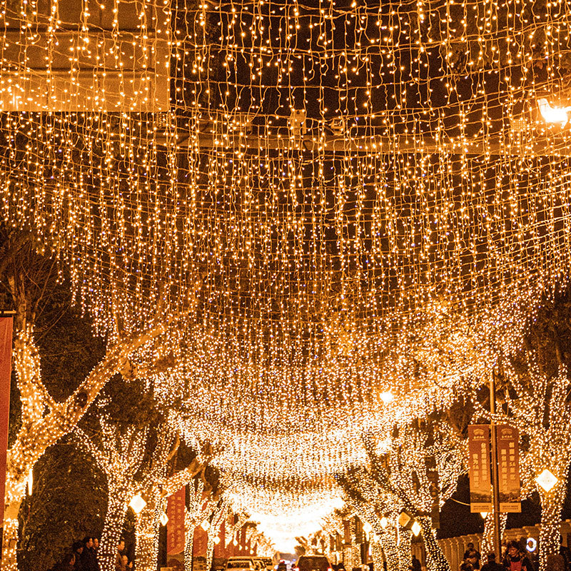 LED Curtain Icicle String Light Commercial Square Mall Projects Solution Christmas Decoration Castle House Motif Lights