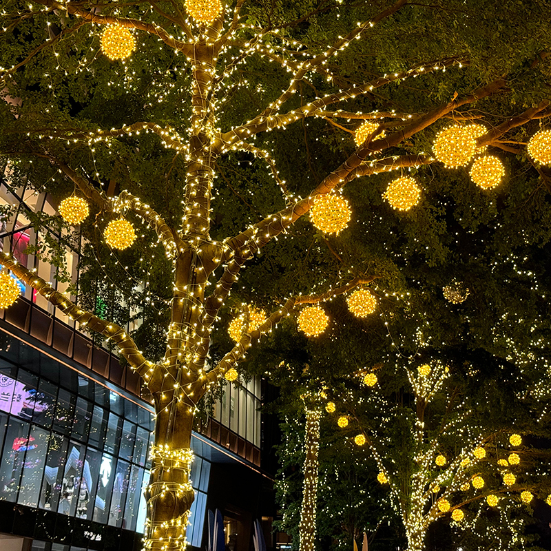 Malaysia Plaza Lighting Project: Durable PVC String Lights & Net Lights for Public Spaces | Night Watcher Lighting