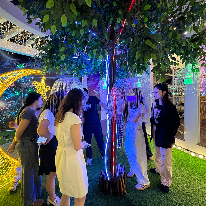 Fiber Optic Jellyfish Lights: Saudi Park Project Case Study