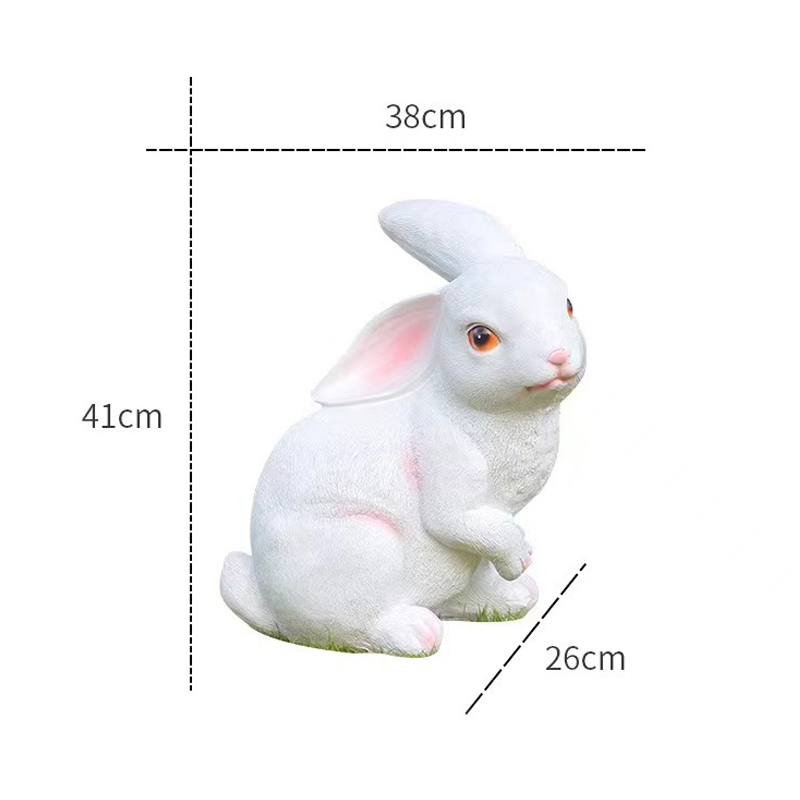 5(63903882b1).jpg