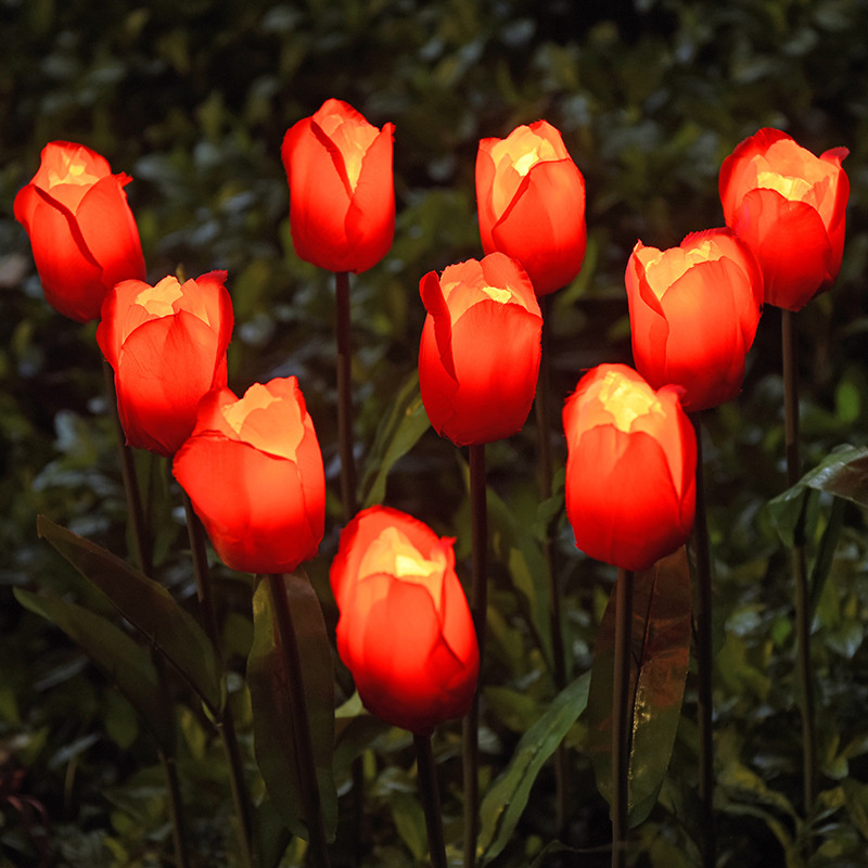 Solar Tulip Garden Light