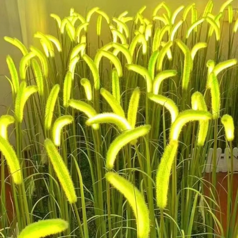 Low-Voltage Landscape Light Installation: Beginner-Friendly Steps