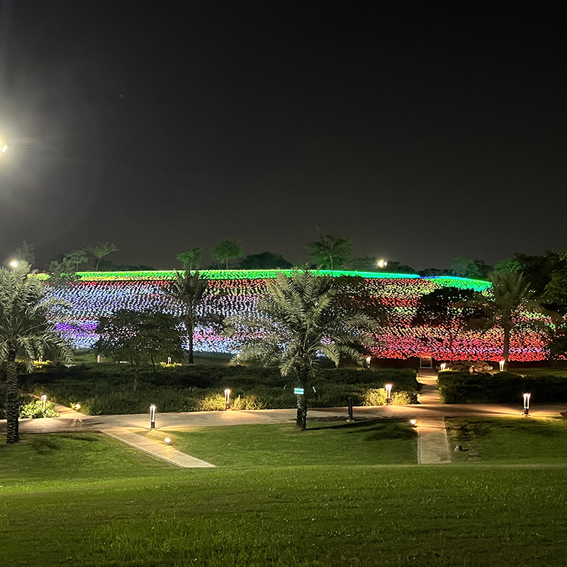 Saudi Park LED Lighting Project | Night Watcher Lighting Case Study