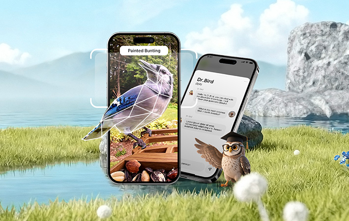 مشاهده پرندگان هوشمند — شناسایی لحظه‌ای + پخش زنده + صوت دوطرفه از طریق BirdKam