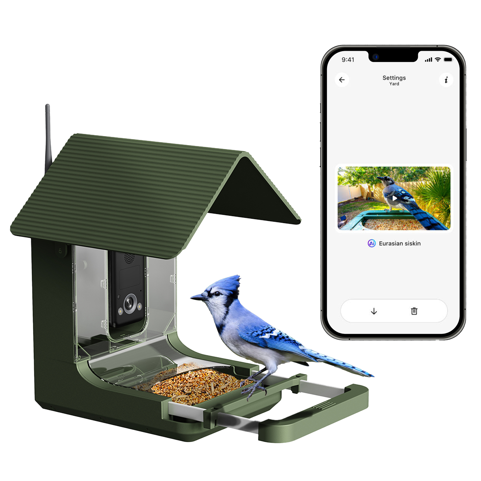 Wie wählen Sie die richtige Vogelfutterspender-Kamera aus?