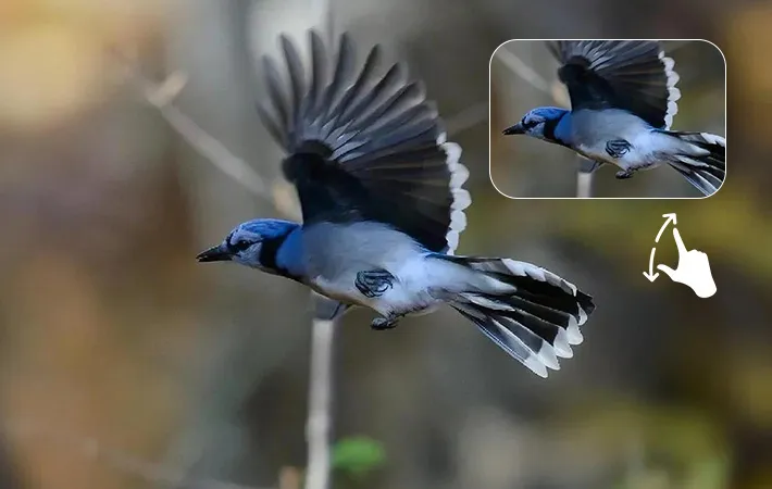 1-4x स्मार्ट ज़ूम — दूर से अवलोकन करें, कुछ भी न बिगाड़ें