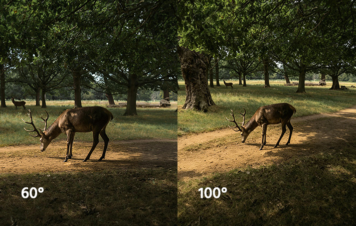 δύο επιλογές πεδίου οράσεως: 60° / 100°