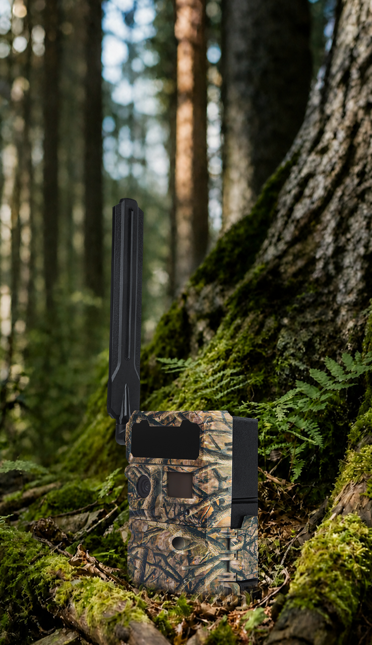 TEST——Smart Bird Feeder Camera OEM Guide: 10 Specs to Verify