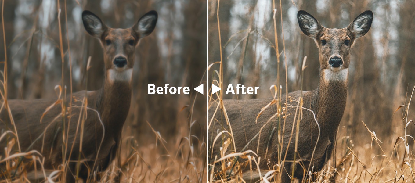 What AI Super-Resolution Actually Means for a Camera Product (3).jpg