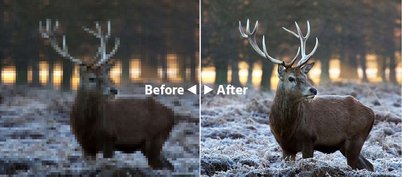 What AI Super-Resolution Actually Means for a Camera Product (4).jpg